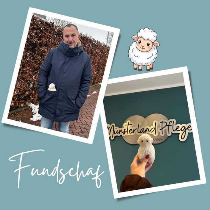 Achtung Fundschaf ‼🐑📣 Eigentlich sollte ich gerade gemütlich kuscheln… stattdessen bin ich heute auf ungeplantem...