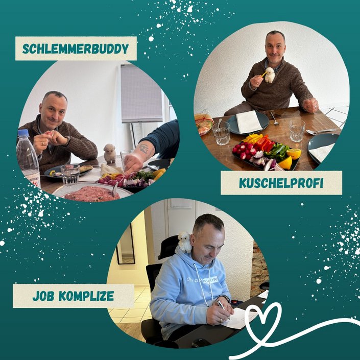 Erinnert ihr euch noch an unser kleines Fundschaf? Uwe hat das kleine Schaf beim Spazierengehen gefunden und wir haben...